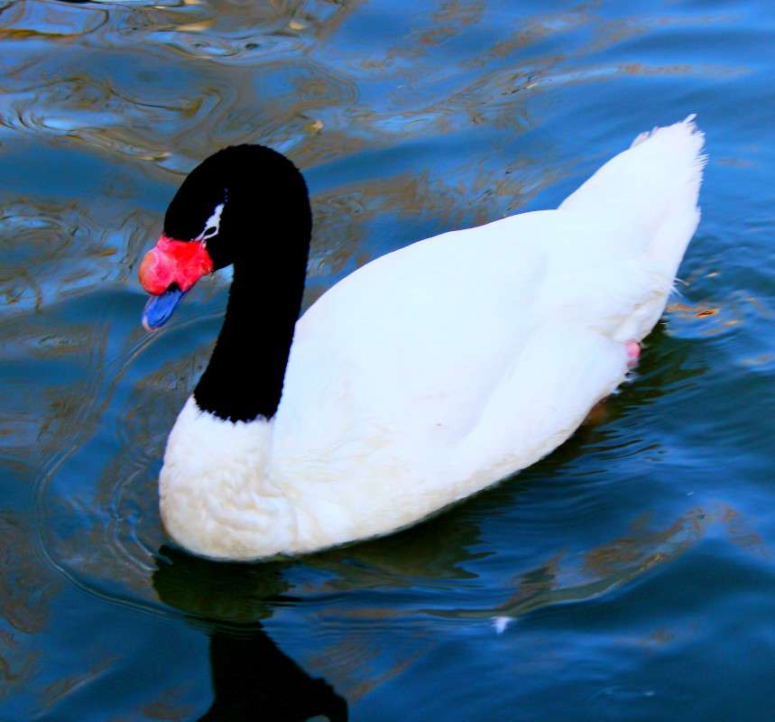 ���-��� ����� ������  �� PhotoGeek.ru #�������� ��� #����� ��� ��� ���������