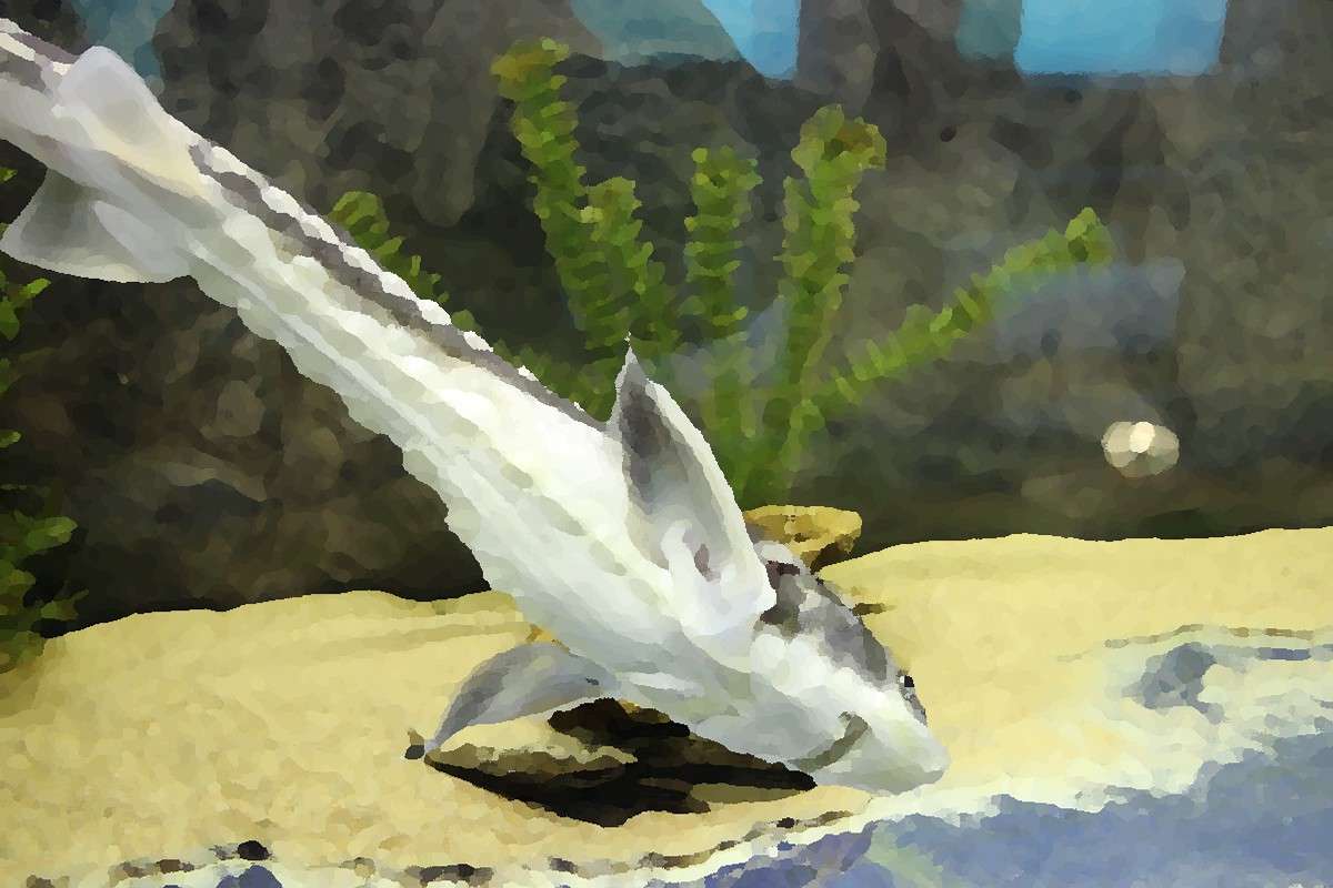 ����������� ����� ������  �� PhotoGeek.ru #�������� ��� #���-�����������