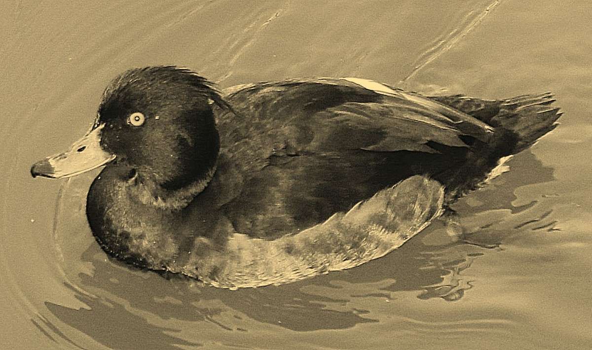 ���-��� ����� ������  �� PhotoGeek.ru #�������� ��� #����� ��� ��� ��������� #�����-�����