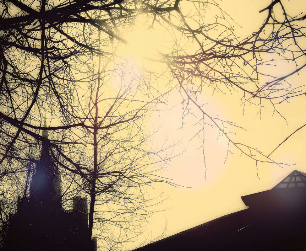 ���������� ������� � �������� ����� ����� ������  �� PhotoGeek.ru #������ ��� ������� #���-����������� #�����-�����