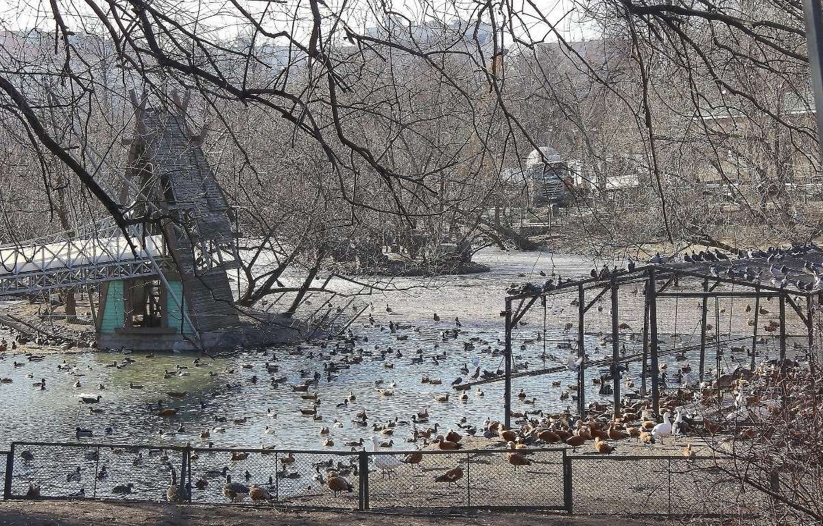 ������ ����� ������  �� PhotoGeek.ru #�������� ��� #������ ��� �������