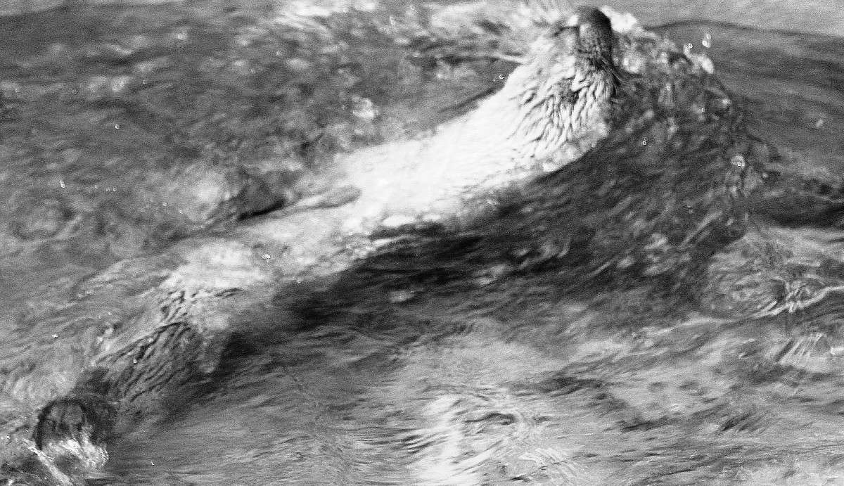 ���� ����� � ���� ����� ������  �� PhotoGeek.ru #�������� ��� #������ ��� �������