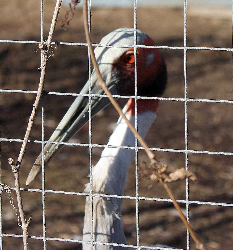 ����� ����� ������  �� PhotoGeek.ru #�������� ��� #�������