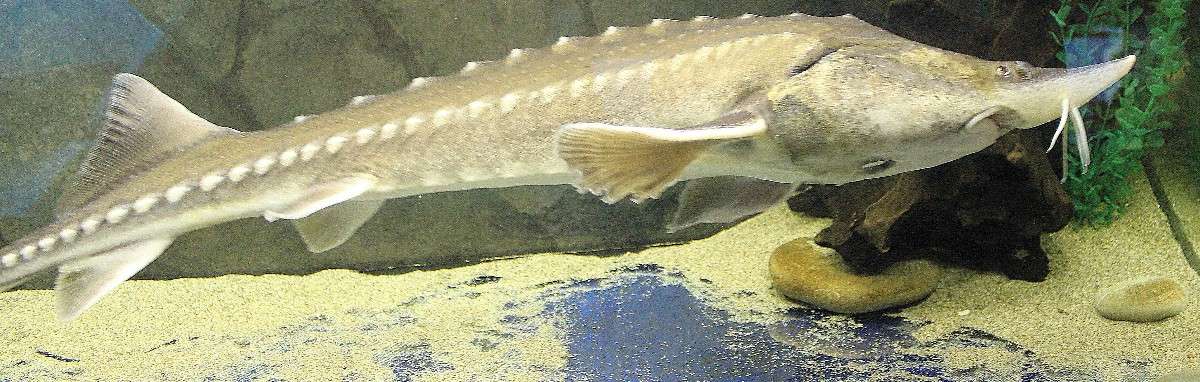 ��� �� ����� ����� ������  �� PhotoGeek.ru #�������� ���