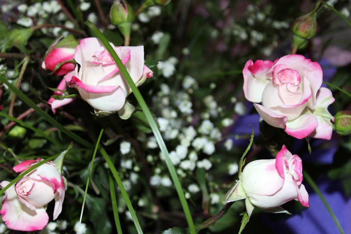 ���� ����� ������  �� PhotoGeek.ru #������ ��� �������