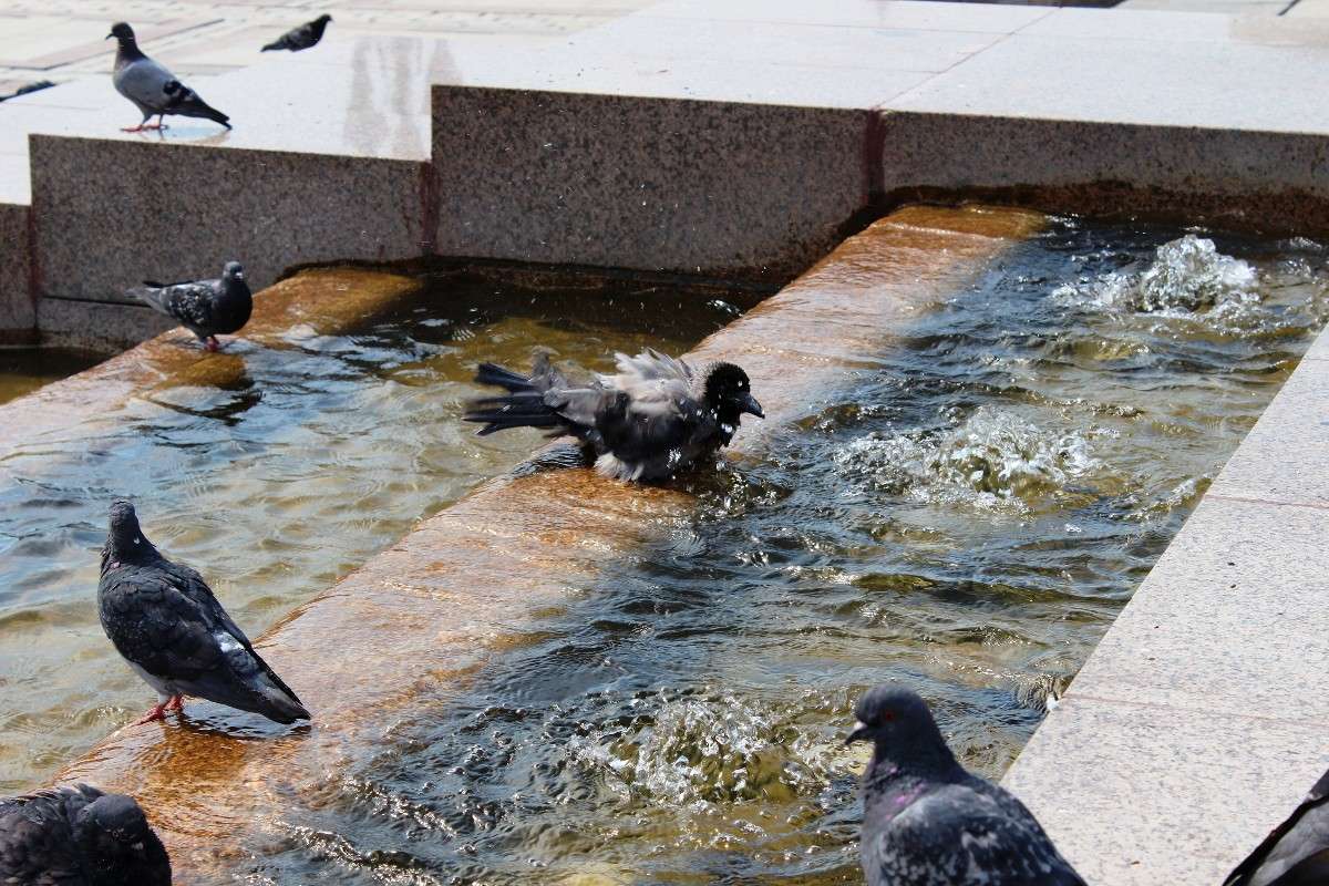 ����� ���������!!! ����� ������  �� PhotoGeek.ru #�������� ��� #�������� ����������