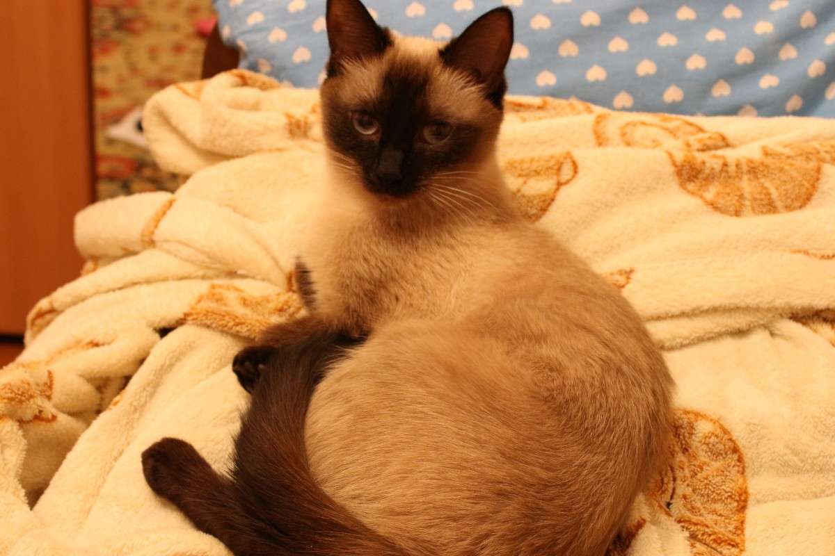 ������� ��������� ����� ������  �� PhotoGeek.ru #�������� ���