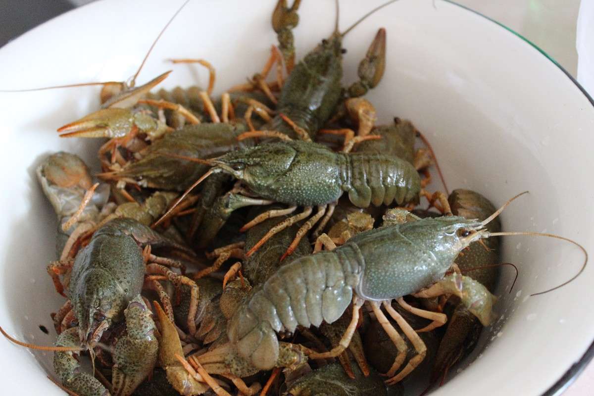 ... ����� ������  �� PhotoGeek.ru #�������� ���