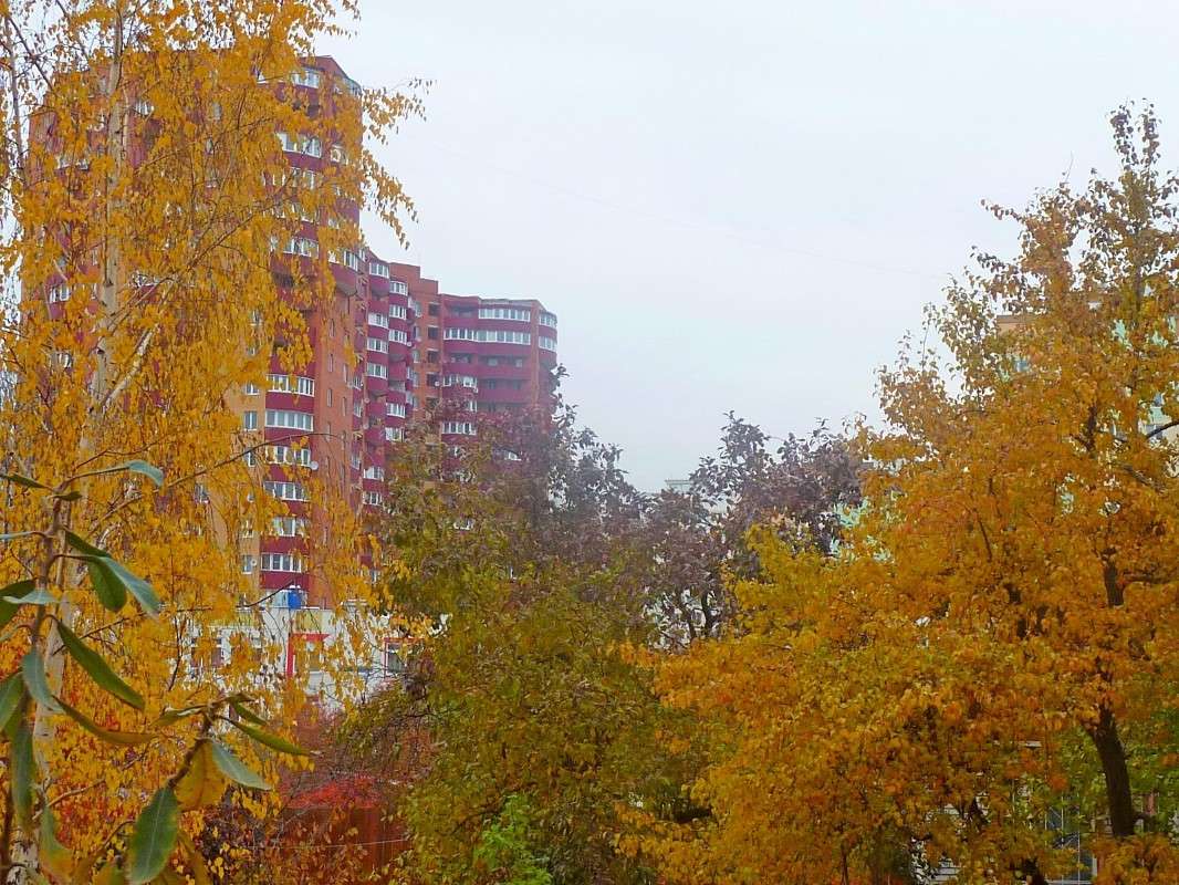 ������� ����� ����� ������  �� PhotoGeek.ru #����� #������ ��� �������