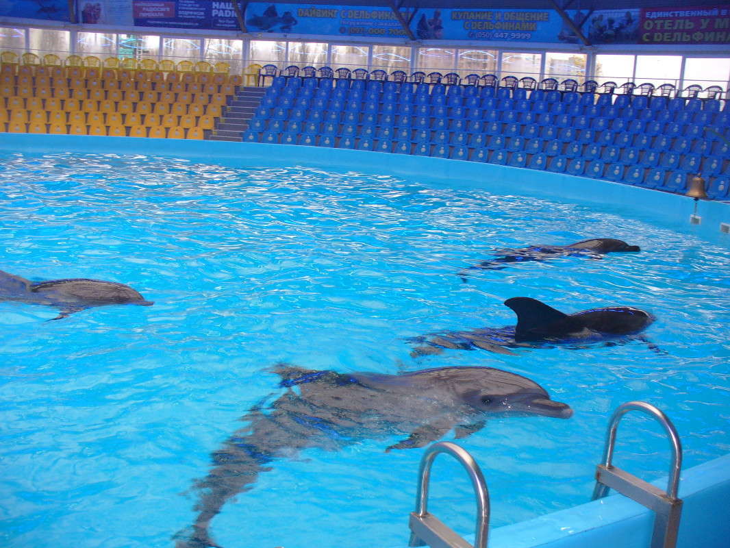 �������� ����� ���������  �� PhotoGeek.ru #�������� ���