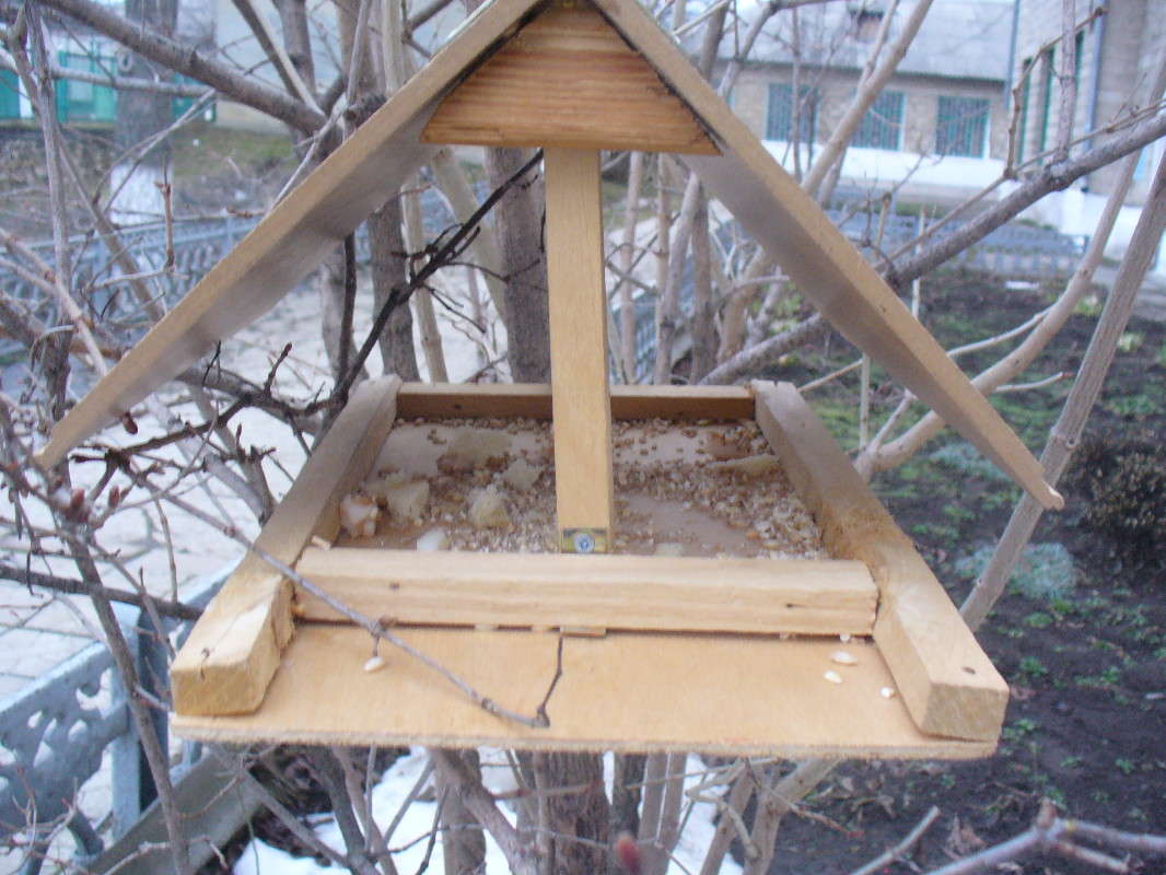 ... ����� ���������  �� PhotoGeek.ru #��������