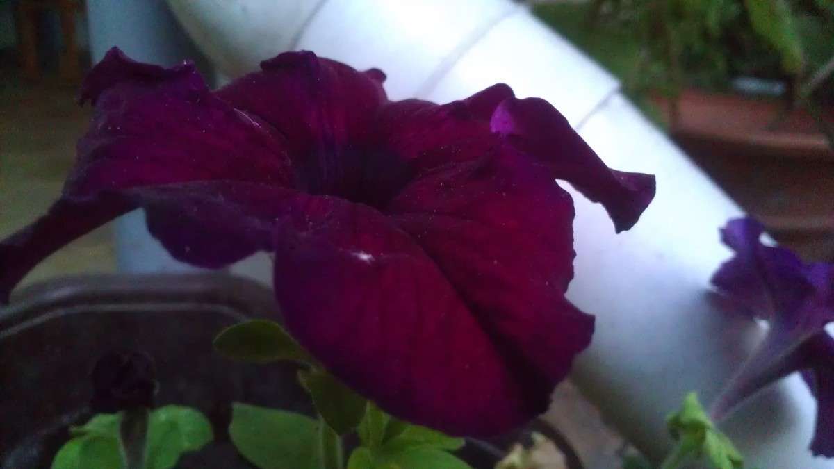 ... ����� ���������  �� PhotoGeek.ru