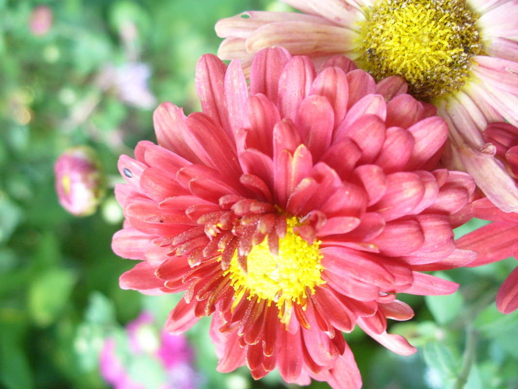 ... ����� ���������  �� PhotoGeek.ru #�����