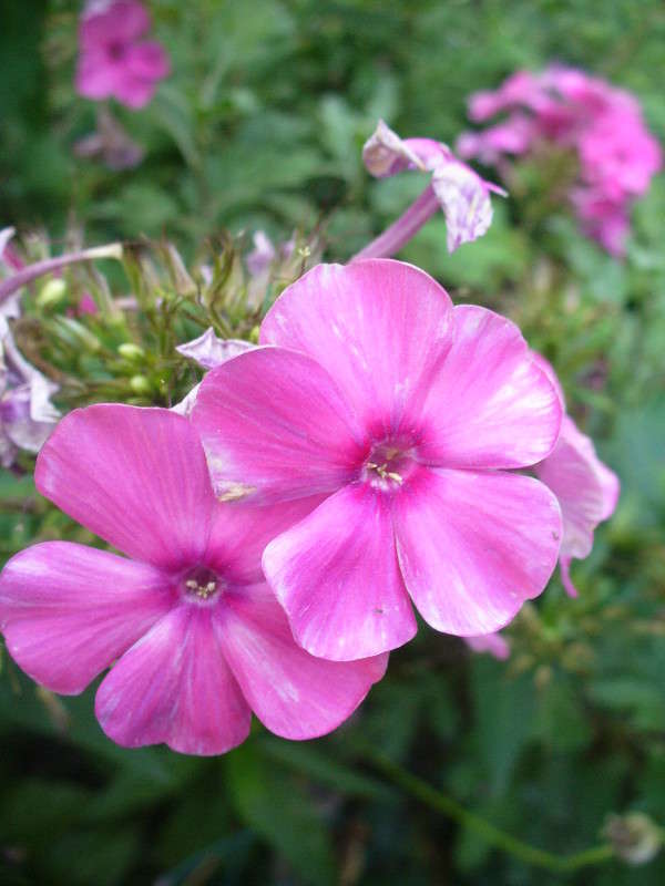 ... ����� ���������  �� PhotoGeek.ru #�����