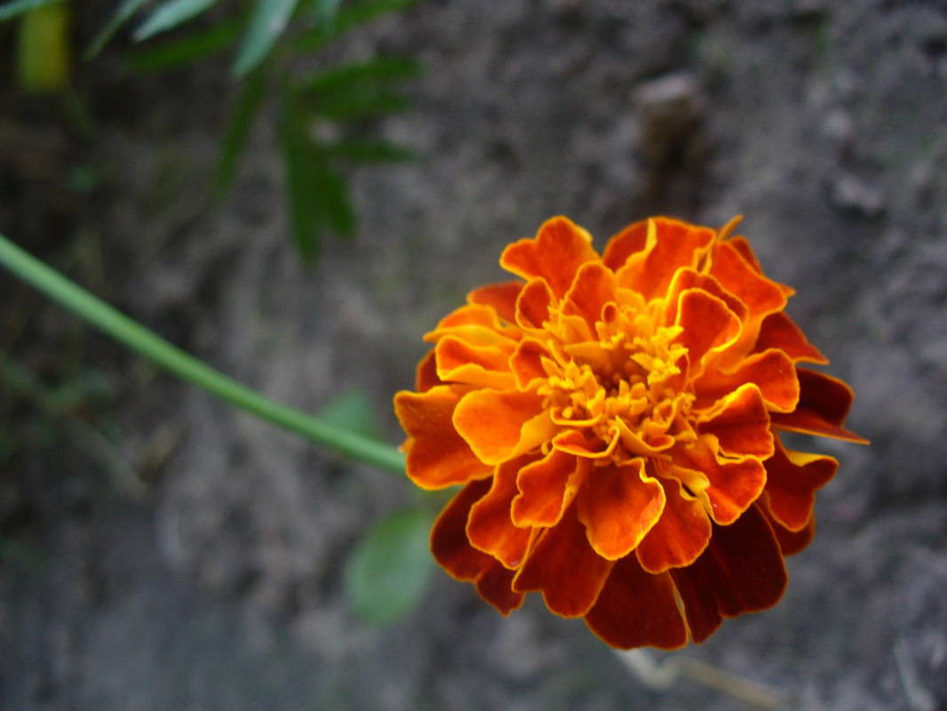 ... ����� ���������  �� PhotoGeek.ru #�����