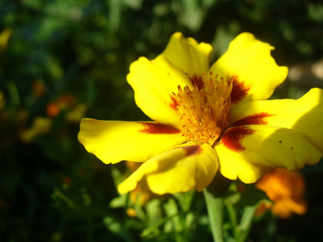 ... ����� ���������  �� PhotoGeek.ru #�����