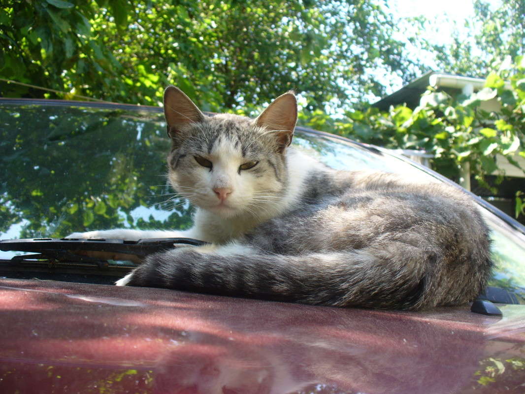 ... ����� ���������  �� PhotoGeek.ru #�������� ���