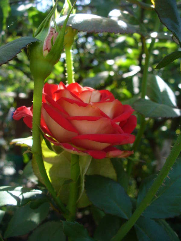 ... ����� ���������  �� PhotoGeek.ru #�����