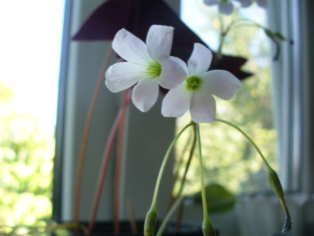 ... ����� ���������  �� PhotoGeek.ru #�����