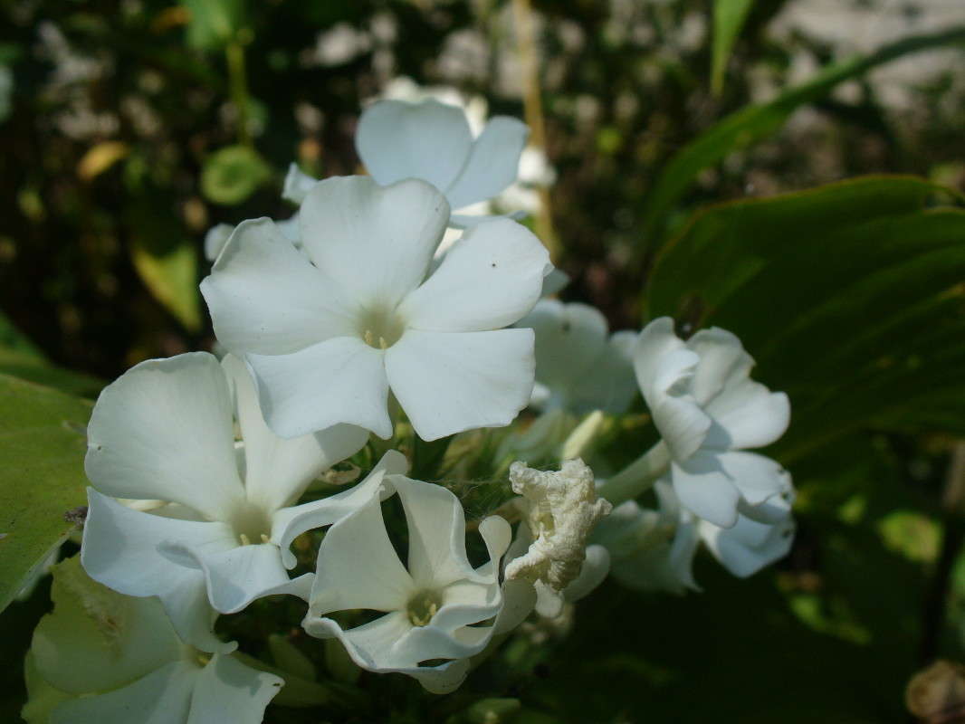 ... ����� ���������  �� PhotoGeek.ru #����� #����� ��������������