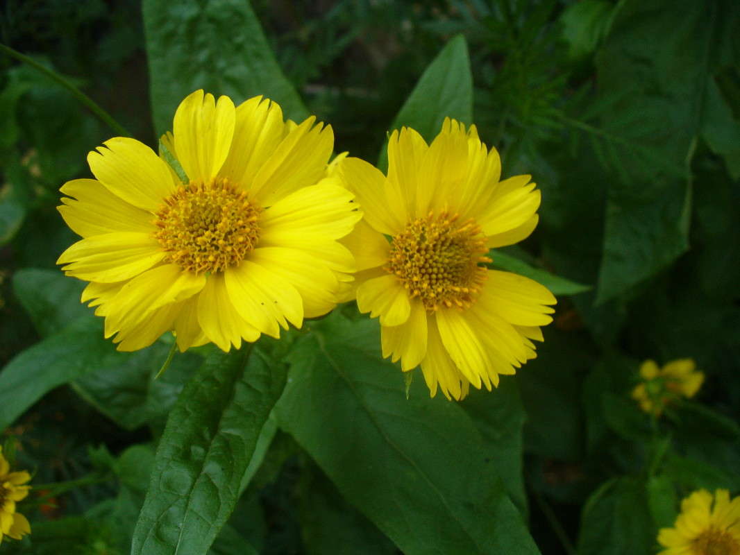 ... ����� ���������  �� PhotoGeek.ru #����� #����� ��������������