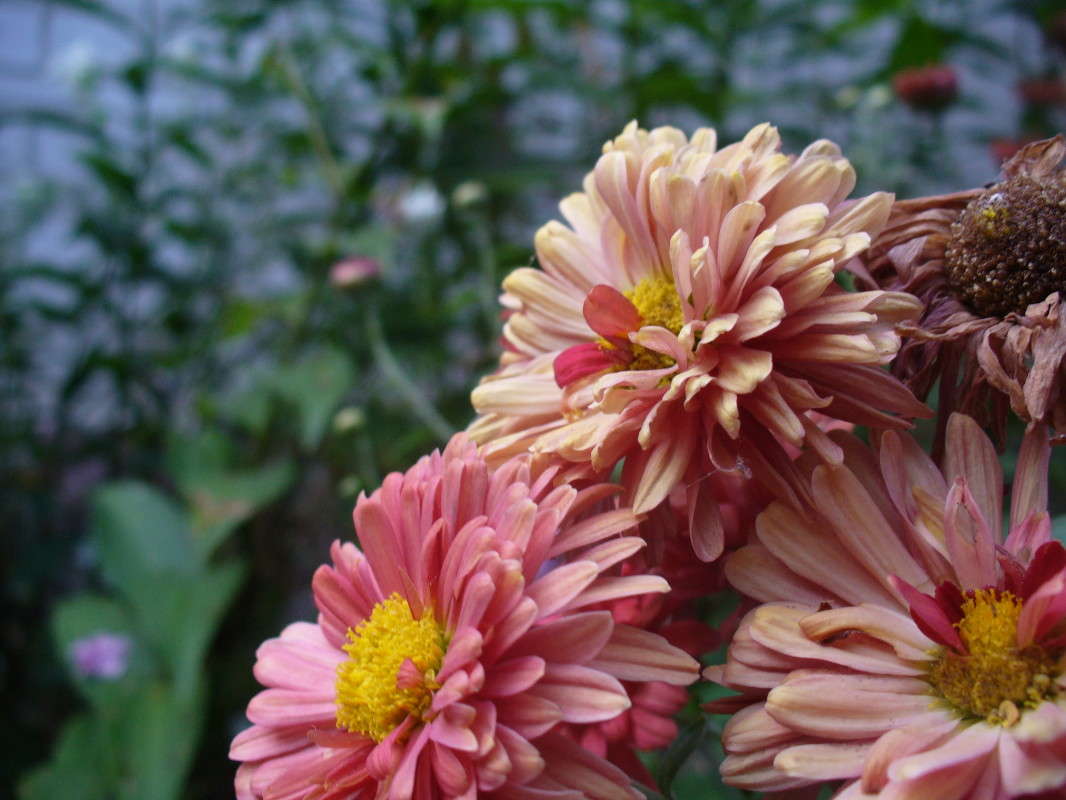 ... ����� ���������  �� PhotoGeek.ru #����� #����� ��������������