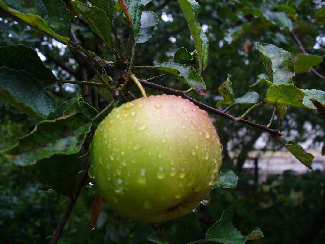 ... ����� ���������  �� PhotoGeek.ru #�����