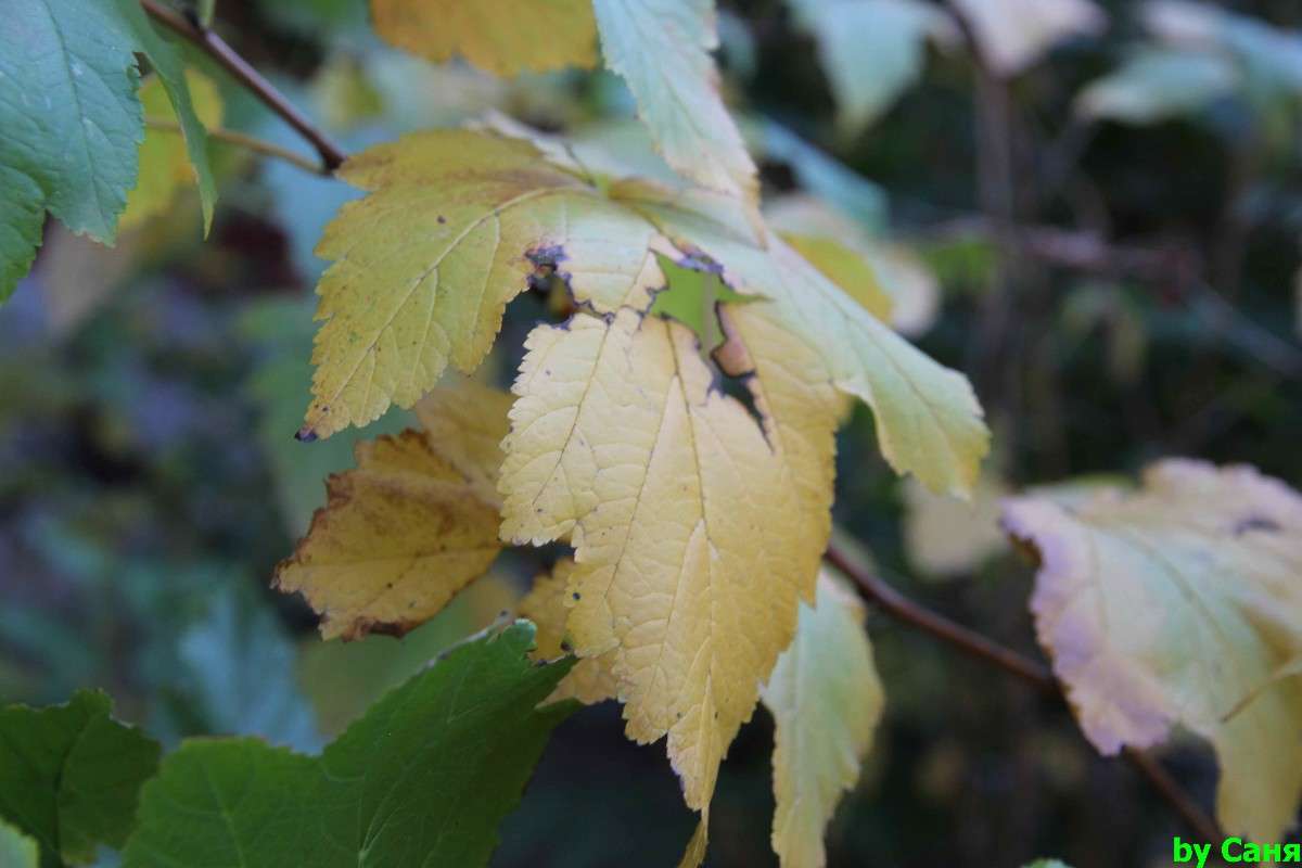 ... ����� ���������  �� PhotoGeek.ru #����� #����� ��������������