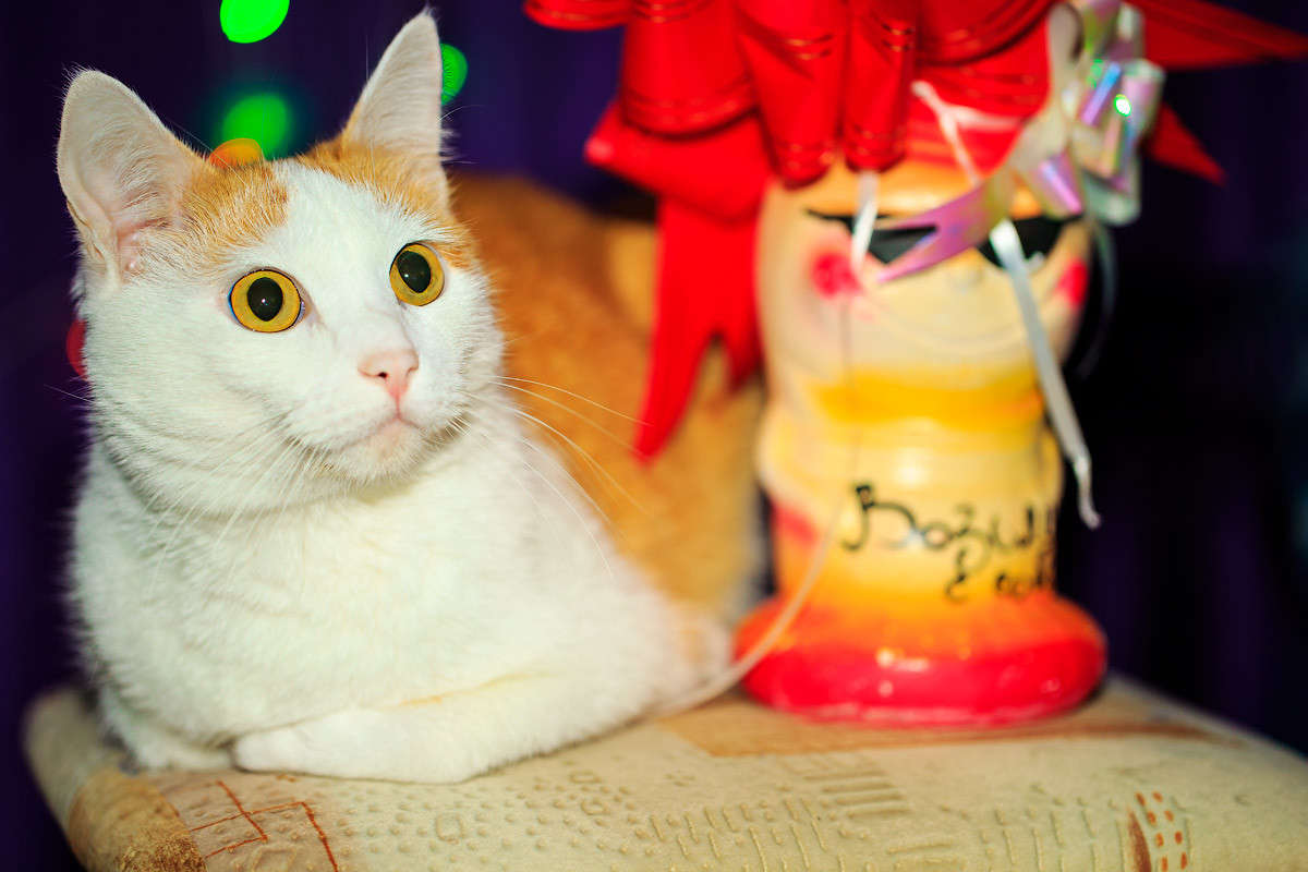 ��� ������ ����� ������� ������ �� PhotoGeek.ru #�������� ���