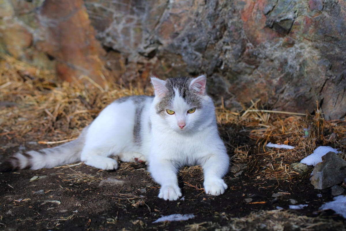 ��� ������ ����� ������� ������ �� PhotoGeek.ru #�������� ���