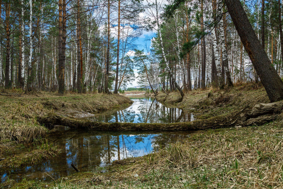 ������ ����� ����� ������� ������ �� PhotoGeek.ru #������ ��� �������