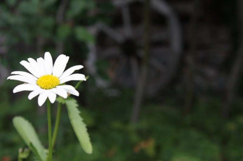 ������� ����� ����  �� PhotoGeek.ru #������ ��� ������� #���������