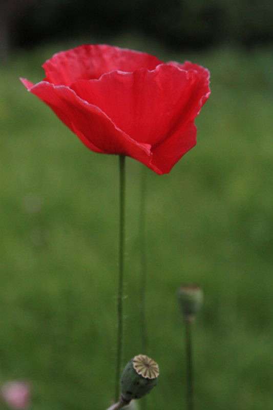 ��� ����� ����  �� PhotoGeek.ru #������ ��� ������� #���������