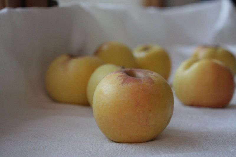 ������ ����� ����  �� PhotoGeek.ru #��������� #�������������