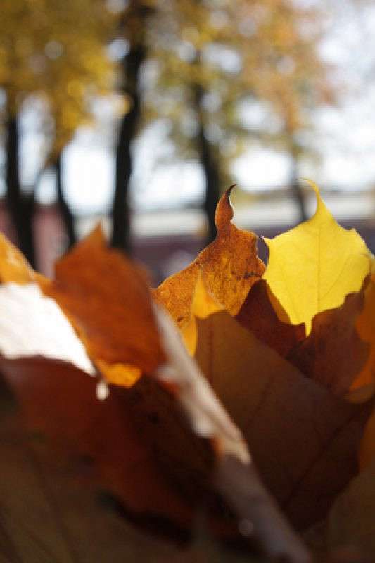 ����� ����� ����  �� PhotoGeek.ru #����� #��������� ������