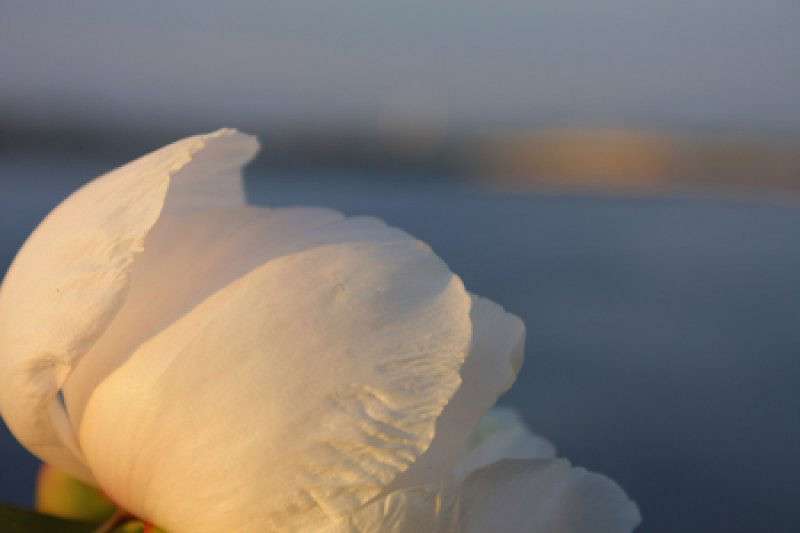 ����� ����� ����  �� PhotoGeek.ru #����� #��������� ������