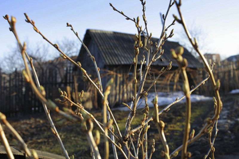 ����� ����� ����  �� PhotoGeek.ru #������ ��� ������� #���������