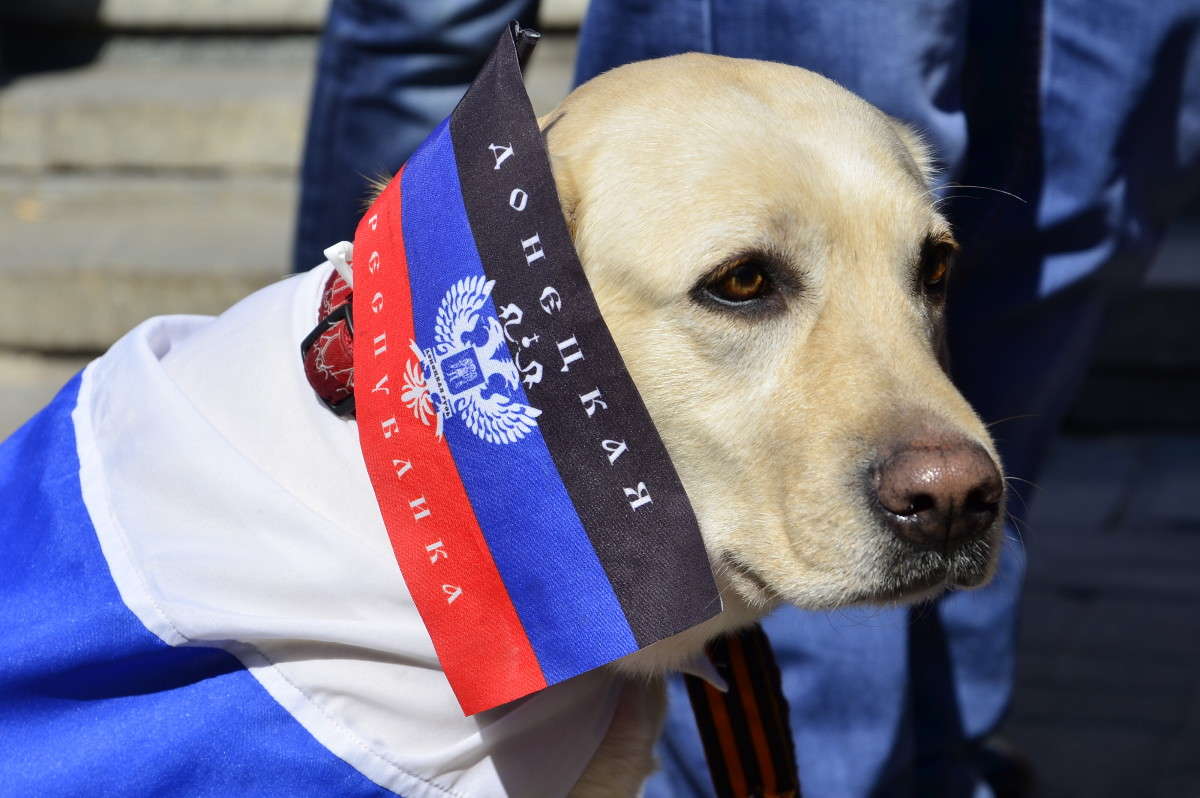 ������ ���������� ����� ����� � �� PhotoGeek.ru #��������