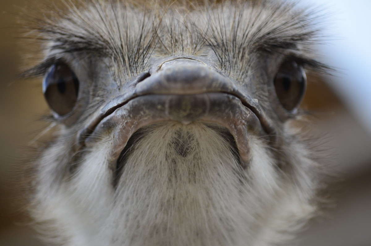 ... ����� ����� � �� PhotoGeek.ru #�������� ���