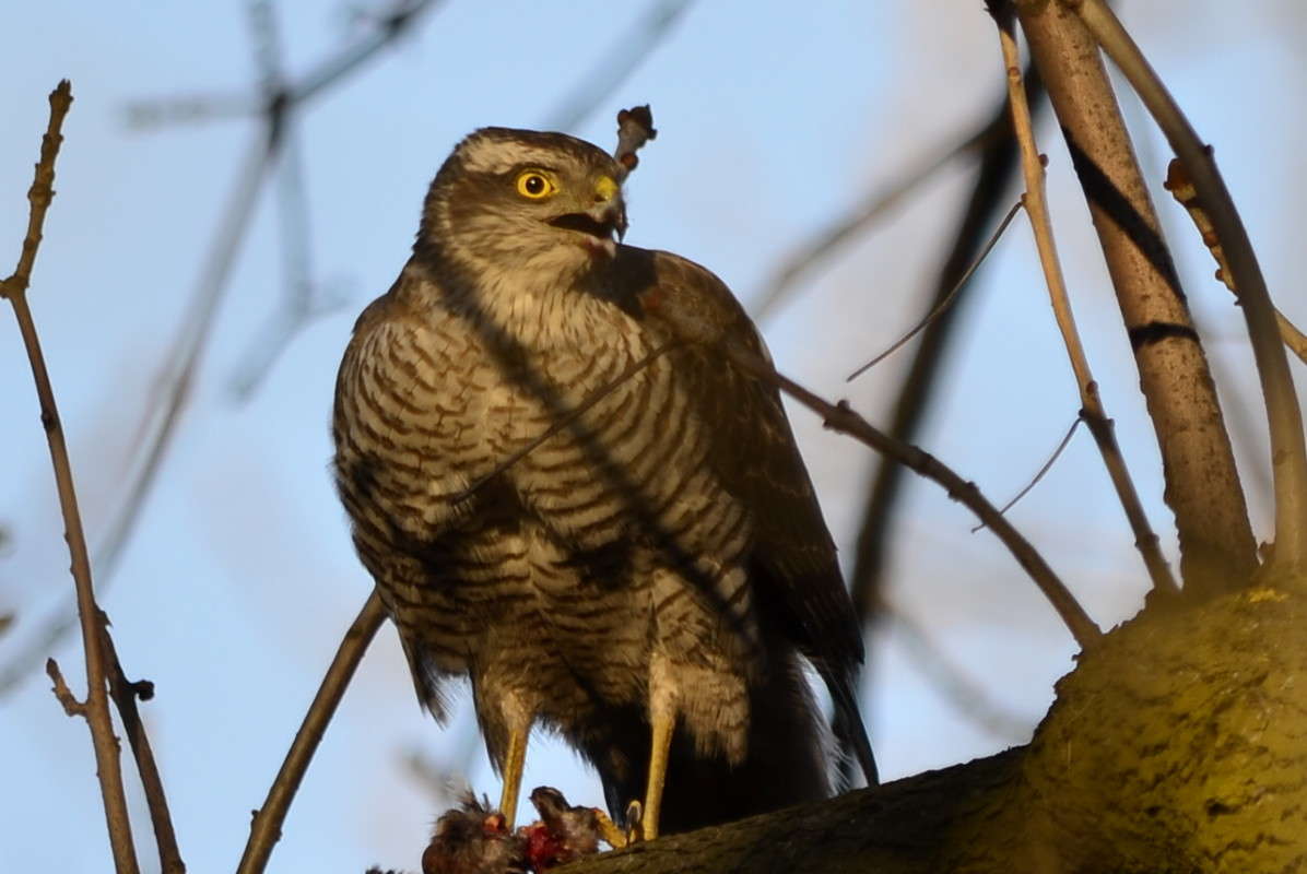 ... � ������� . ����� ����� � �� PhotoGeek.ru #�������� ���