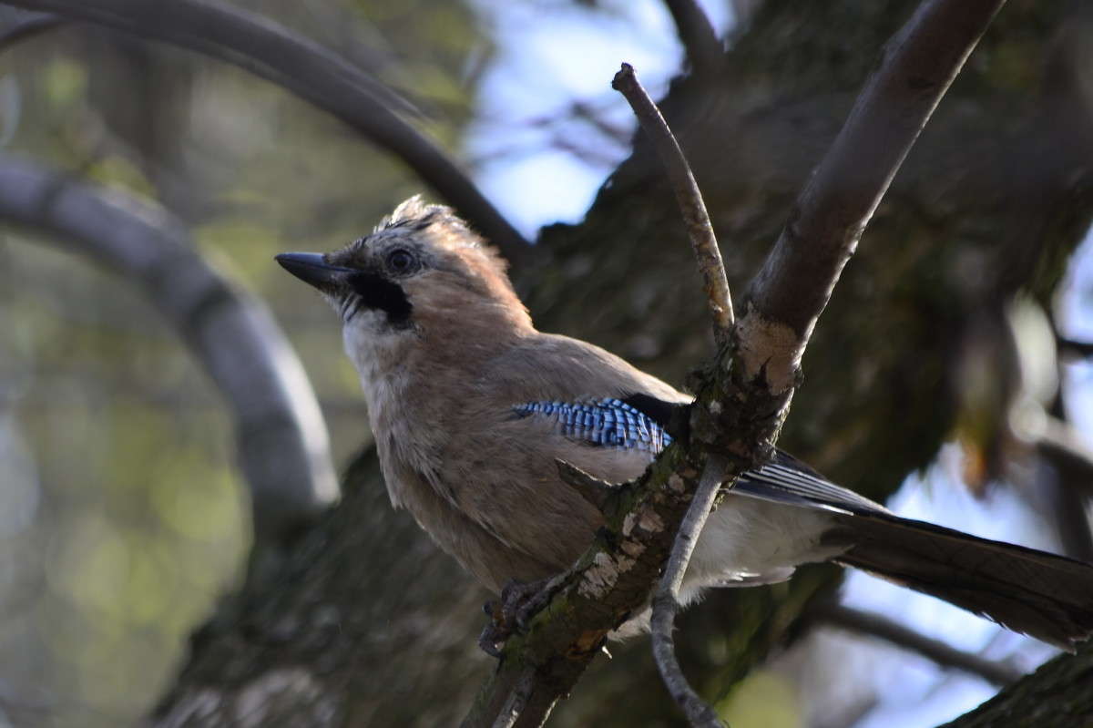 ... ����� ����� � �� PhotoGeek.ru #�������� ���