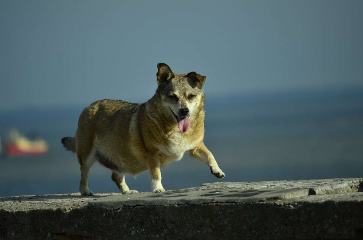 �� ���� ... ����� ����� � �� PhotoGeek.ru