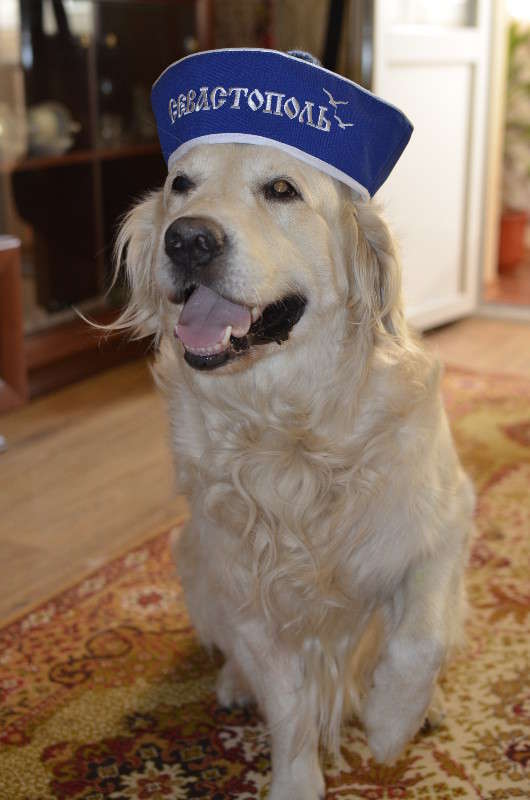 ������ �� ����������� ����� ����� � �� PhotoGeek.ru #�������� ���