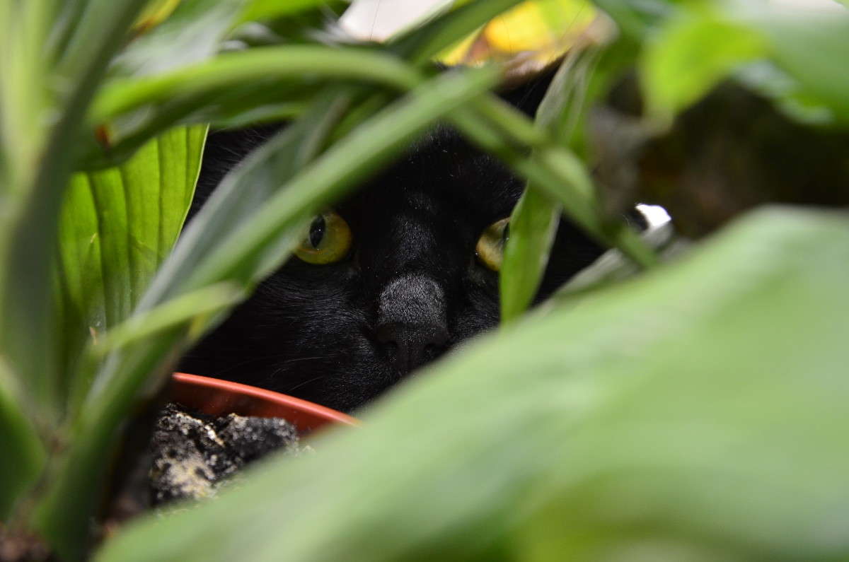 ���� ����� ����� � �� PhotoGeek.ru #�������� ���