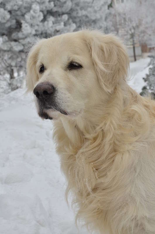 ����� ����� ����� � �� PhotoGeek.ru #�������� ���