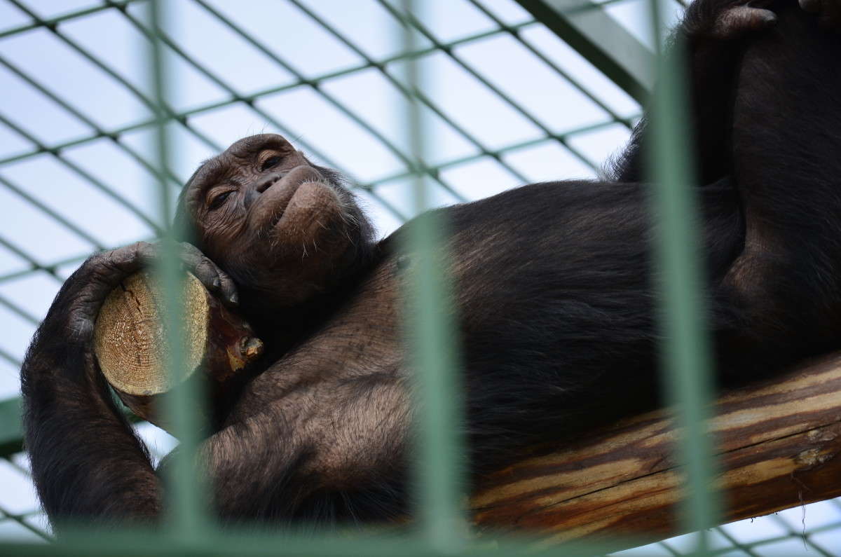 ...���� �� ������... ����� ����� � �� PhotoGeek.ru #�������� ���