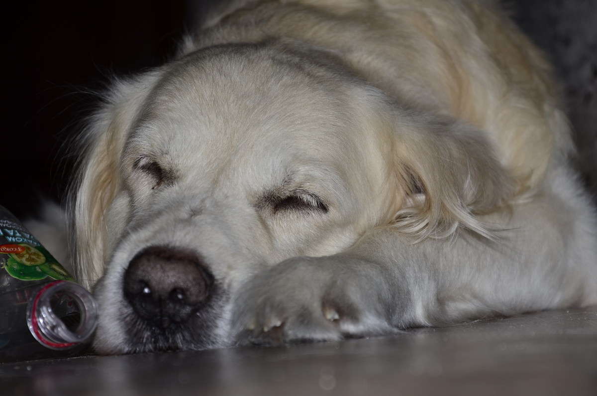 ... ����� ����� � �� PhotoGeek.ru #�������� ���