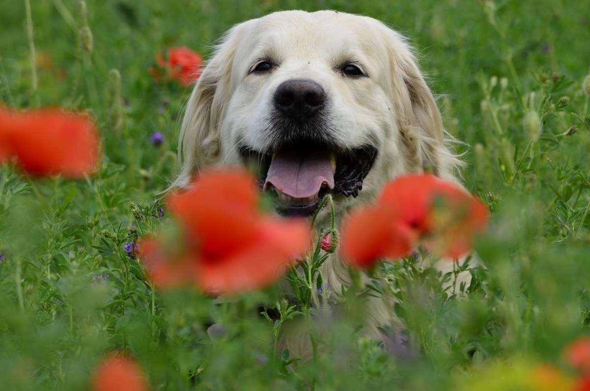 ������� ... ����� ����� � �� PhotoGeek.ru #������ ��� �������