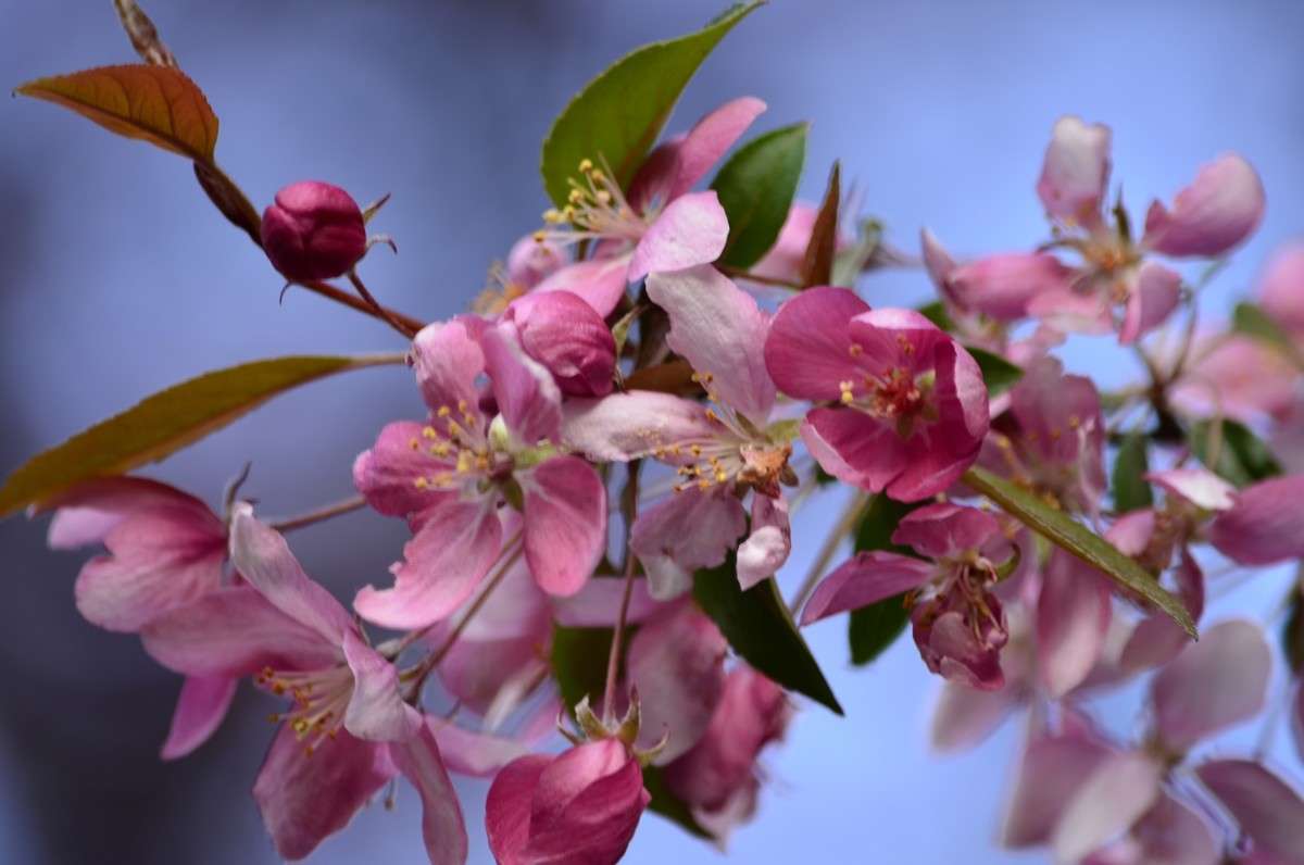 ... ����� ����� � �� PhotoGeek.ru #������ ��� �������