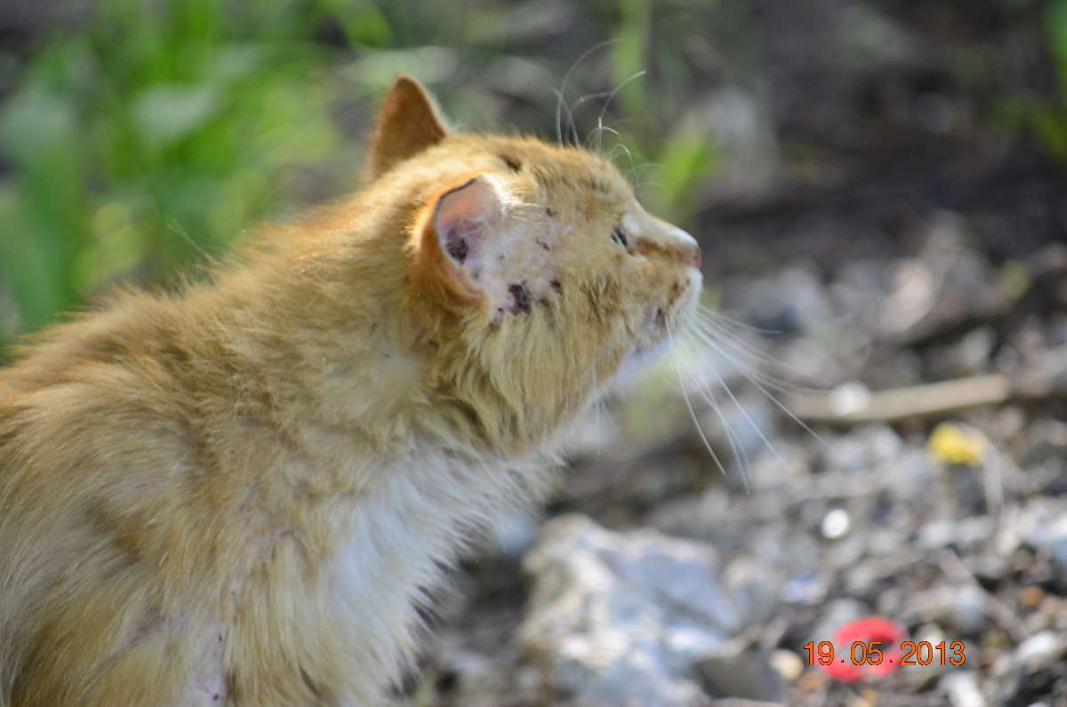 �� ����� ����� ����� � �� PhotoGeek.ru #�������� ���